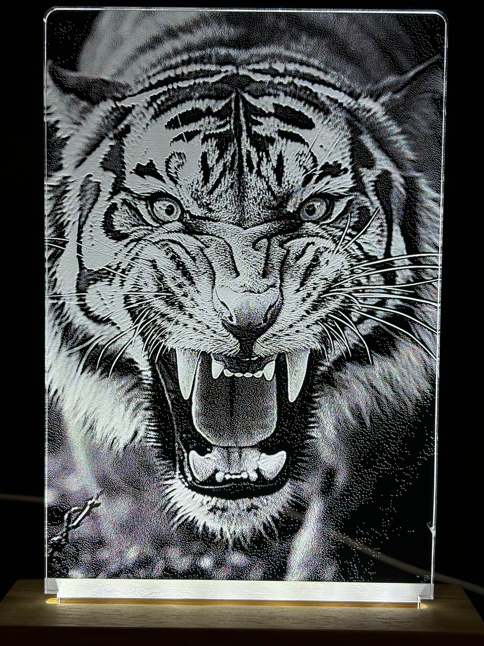 Graviertes Tigerbild auf Glas mit LED-Beleuchtung, zeigt brüllenden Tiger in schwarz-weiß, auf Holzfuß platziert.
